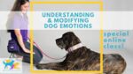 Understanding the Dog emotions images
