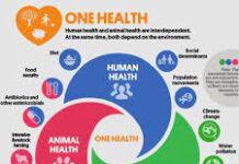 one world, one health