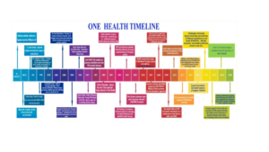 Chronicle of One Health