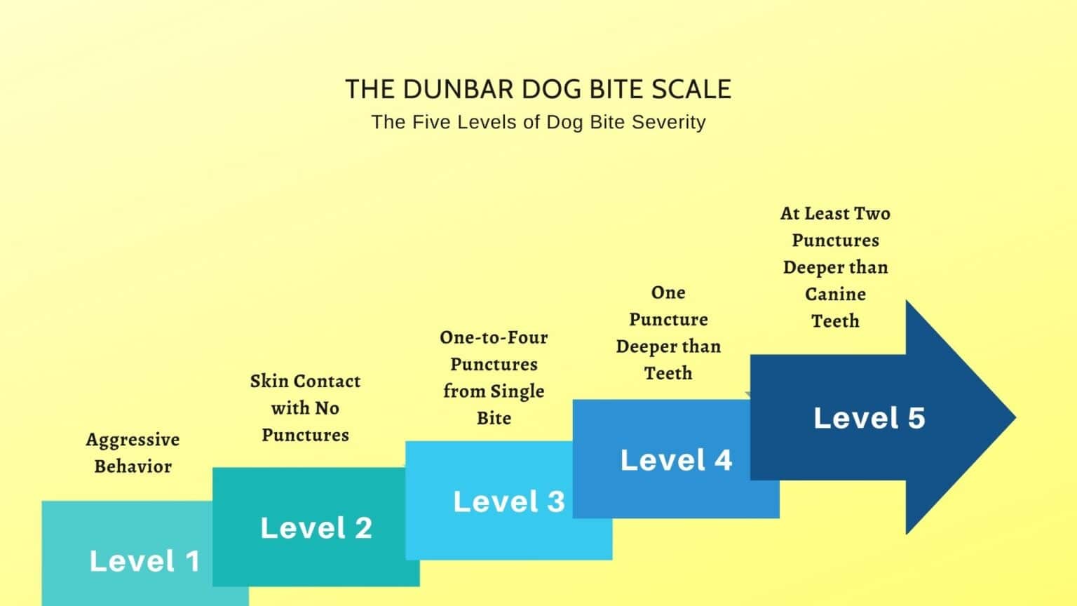 Dunbar Dog Bite Scale | Pashudhan praharee