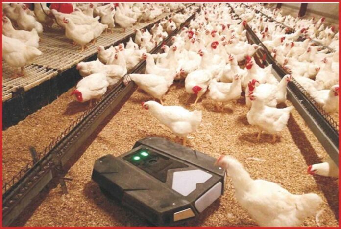 Impact Of Modern Poultry Farming Innovations On The Poultry Sector ...