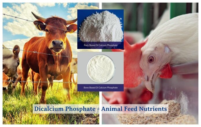 Role of Calcium and Phosphorous in Animal Nutrition