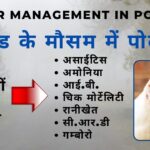 CARE AND MANAGEMENT OF POULTRY BIRDS DURING WINTER SEASON