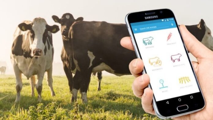 High Tech Dairy Farming with Application of Advanced Technology
