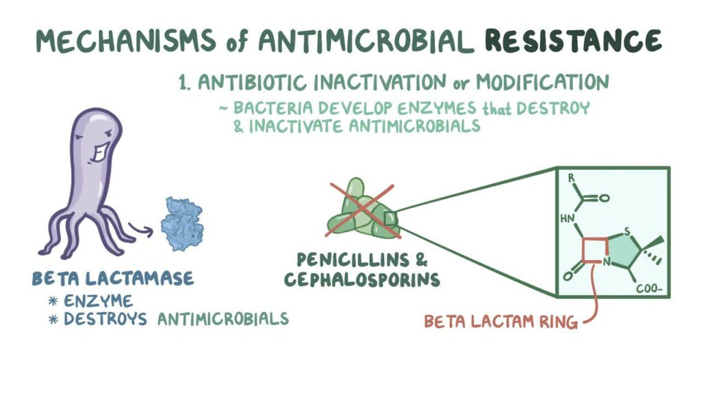 Futuristic Approaches to Triumph Over Antimicrobial Resistance: A Need ...