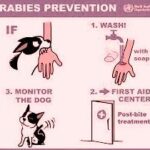 Prevention and Control