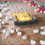 Robots in poultry production