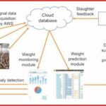 Smart poultry creation and information recording for anaysis