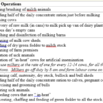 Daily farm routine or day-to-day operation in an ideal dairy farm