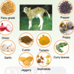 Ethno-veterinary Formulations 9