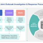 Joint Outbreak Investigation & Response Process