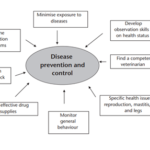 Organic Dairy standards for Disease Prevention and Control