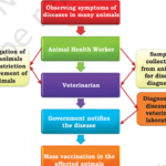 Reporting mechanism in case of epidemics in farm animals