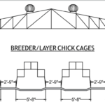 Housing Chicks – cage system 1