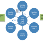 Hub and Spoke Model