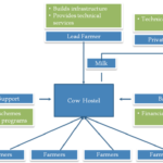 Lead Farmer Model