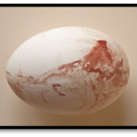 Blood on egg shell