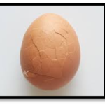 Cracked shell egg