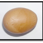 Flat -slab sided egg