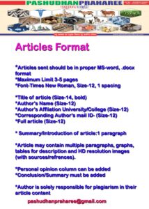 article format