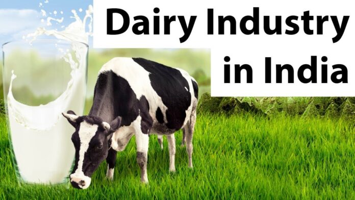 Transforming Dairy Farming in India: Strategies for Boosting Animal Productivity