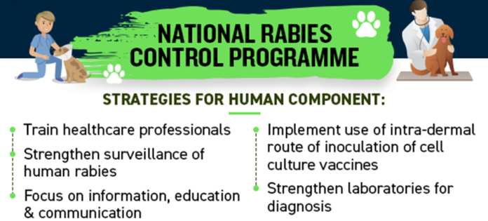 Key Notes on Global Rabies Control Programs