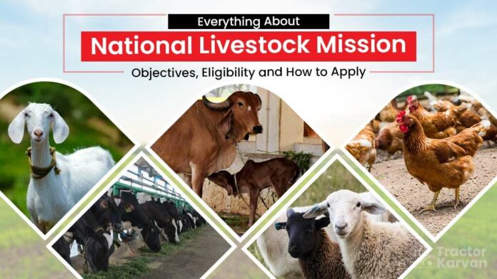 An Overview of the National Livestock Mission